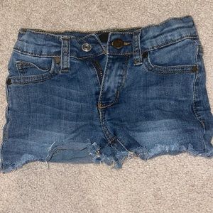Toddler joes jeans shorts